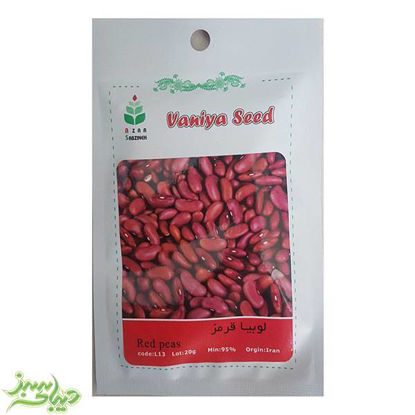 تصویر  بذر لوبیا قرمز