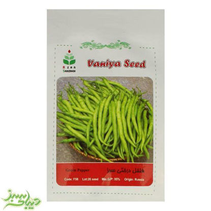 تصویر  بذر فلفل درختی سبز