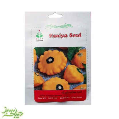 تصویر  بذر کدو ستاره ای زرد