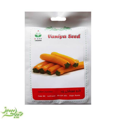 تصویر  بذر کدو خورشتی زرد