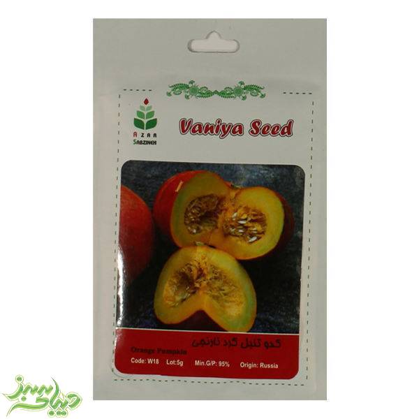 تصویر  بذر کدو تنبل گرد نارنجی