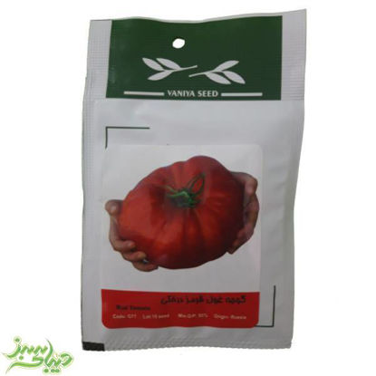 تصویر  بذر گوجه غول قرمز درختی