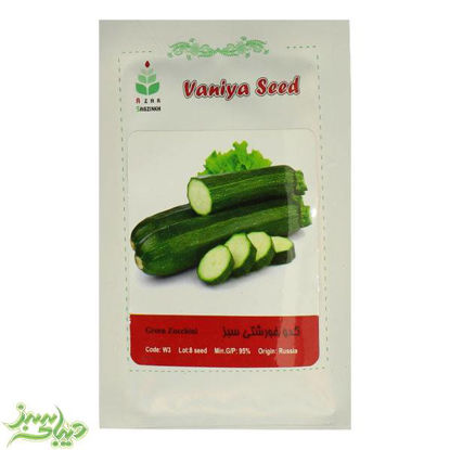 تصویر  بذر کدو خورشتی سبز