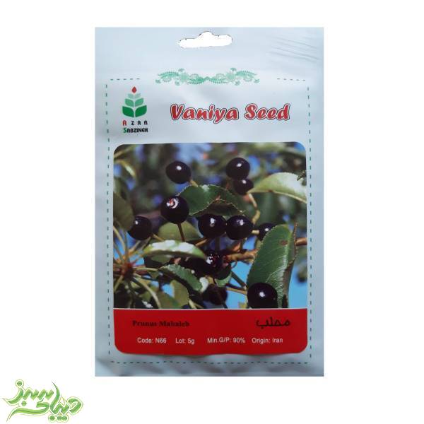 تصویر  بذر محلب