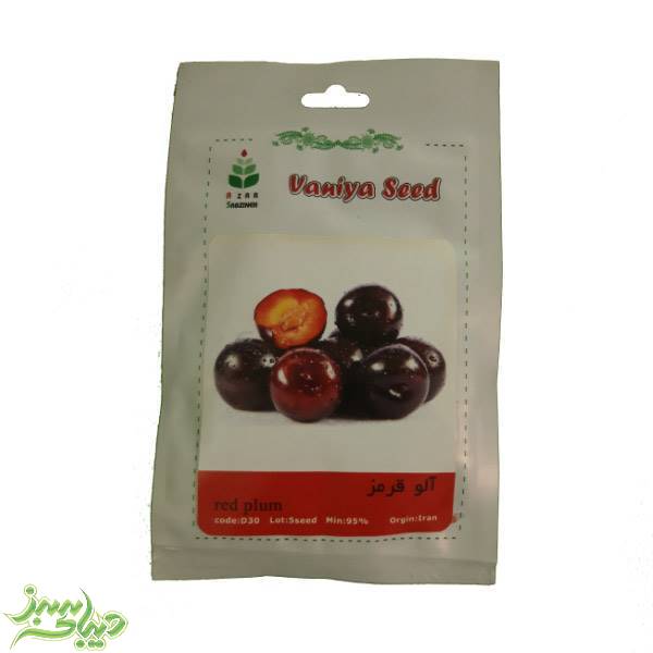 تصویر  بذر آلو قرمز