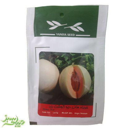 تصویر  بذر خربزه هانی دیو گوشت زرد