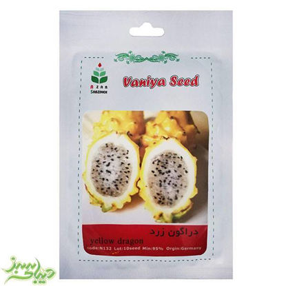 تصویر  بذر دراگون زرد