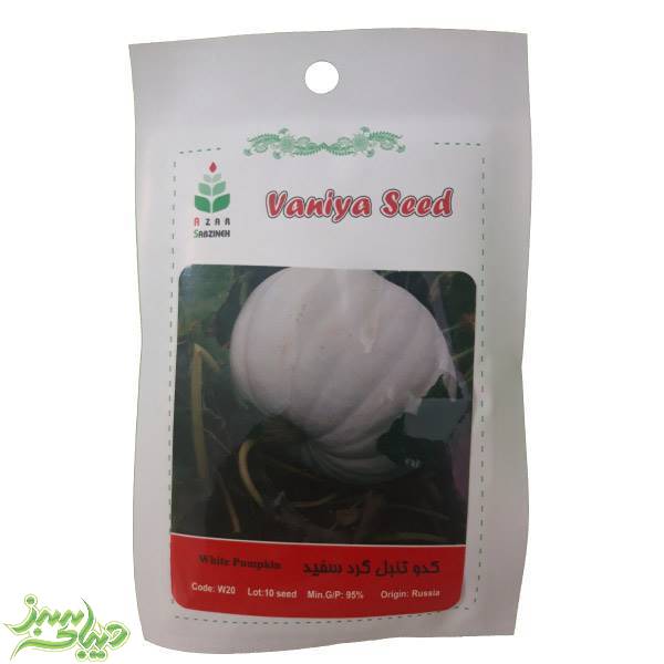 تصویر  بذر کدو تنبل گرد سفید