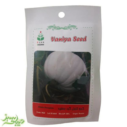 تصویر  بذر کدو تنبل گرد سفید