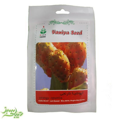 تصویر  بذر اپونتیا نارنجی