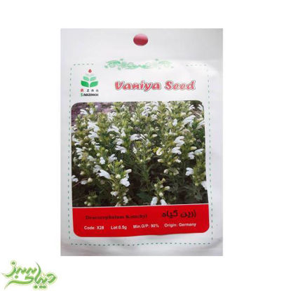 تصویر  بذر زرین گیاه