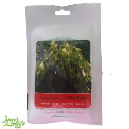 تصویر  بذر زبان گنجشک
