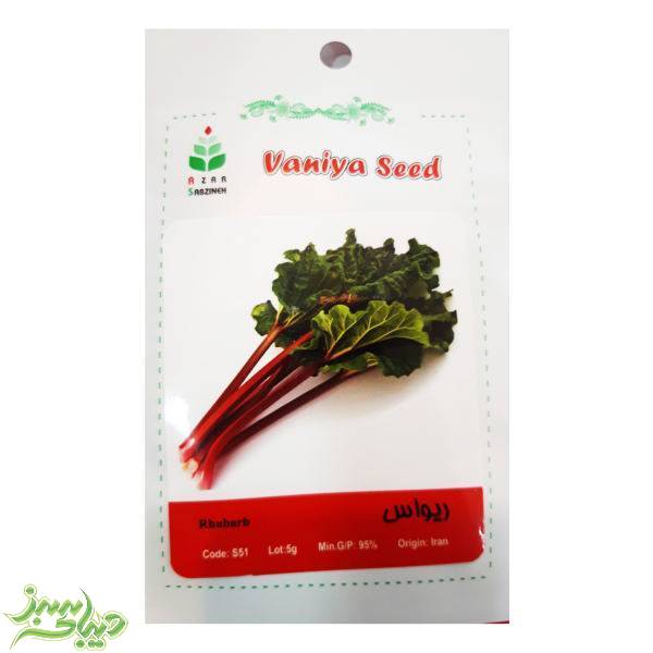 تصویر  بذر ریواس