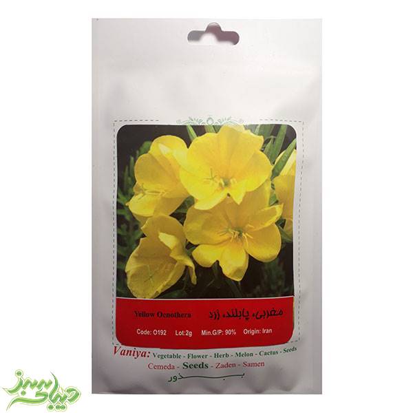 تصویر  بذر مغربی ، پابلند ، زرد