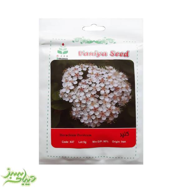 تصویر  بذر گلپر