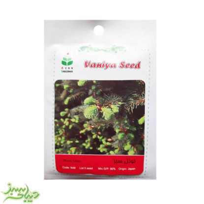 تصویر  بذر نوئل سبز