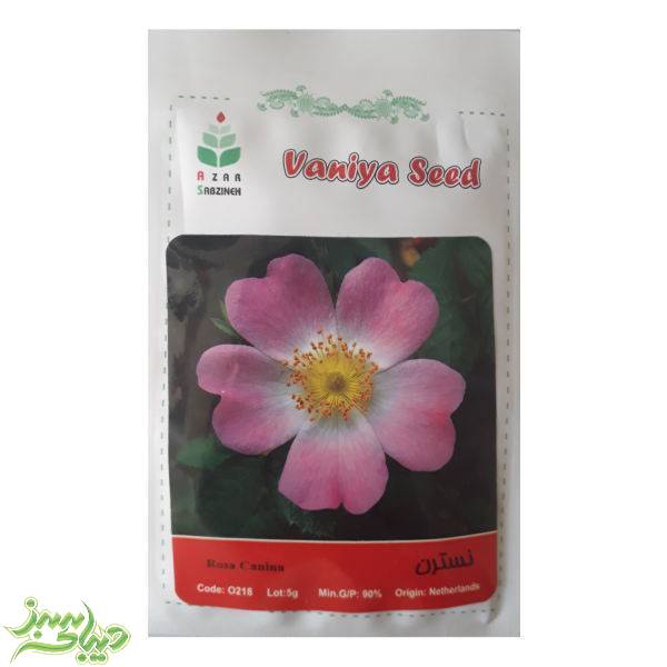 تصویر  بذر نسترن