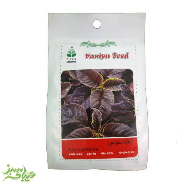 تصویر  بذر آشلانتوس