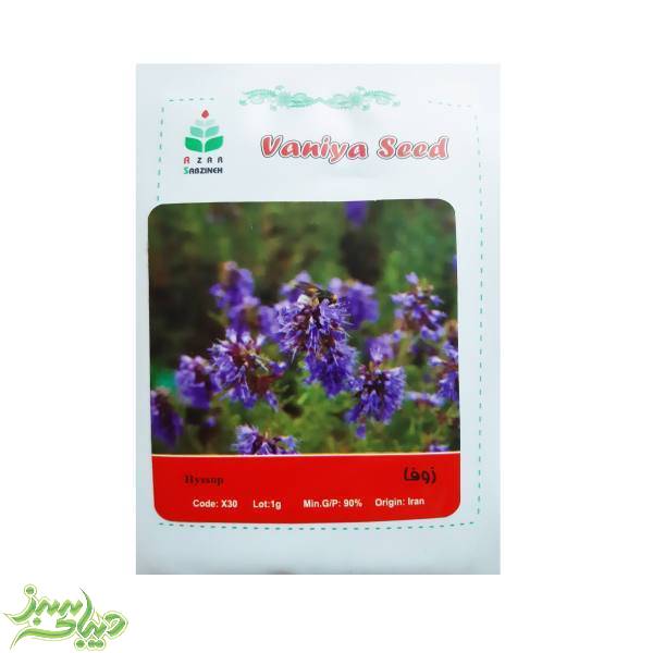 تصویر  بذر زوفا