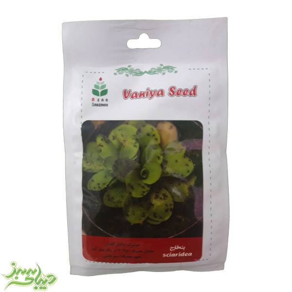 تصویر  سم خانگی پشه قارچ