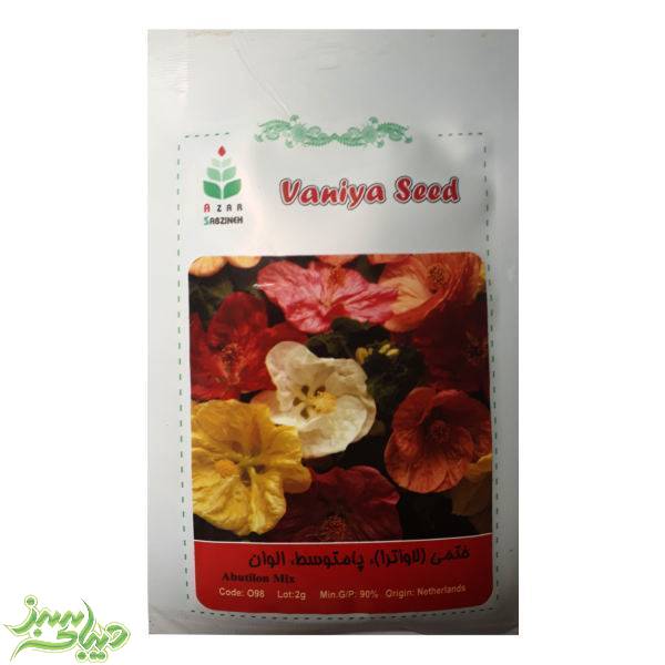 تصویر  بذر ختمی (لاواتزا)، پامتوسط ، الوان