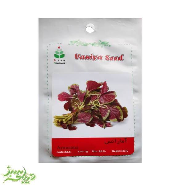 تصویر  بذر آمارنس