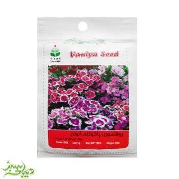 تصویر  بذر بوقلمون ، پاکوتاه ، الوان