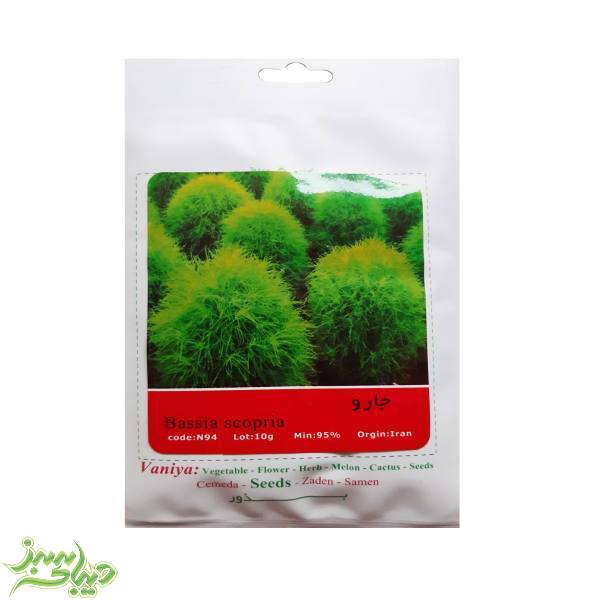 تصویر  بذر جارو