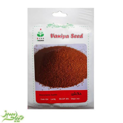 تصویر  بذر خاکشیر