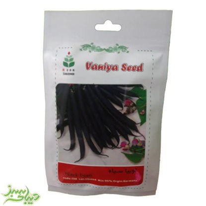 تصویر  بذر لوبیا سیاه