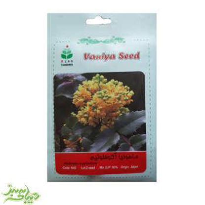 تصویر  بذر ماهونیا آکوفلوئیم