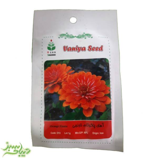 تصویر  بذر آهار ، پاکوتاه ، نارنجی