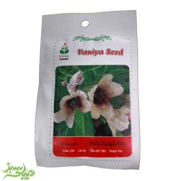 تصویر  بذر بذرالبنج(بنگدانه )