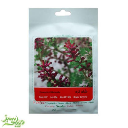 تصویر  بذر شاه تره