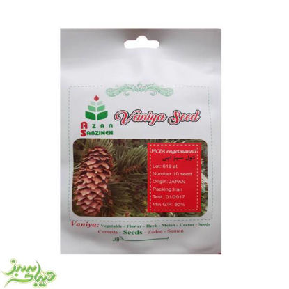 تصویر  بذر نول سبز آبی