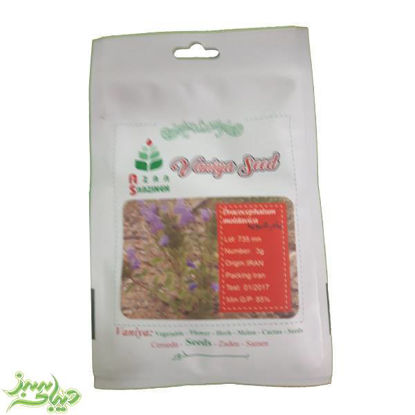 تصویر  بذر بادرشبویه