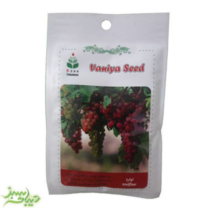 تصویر  گوگرد خانگی