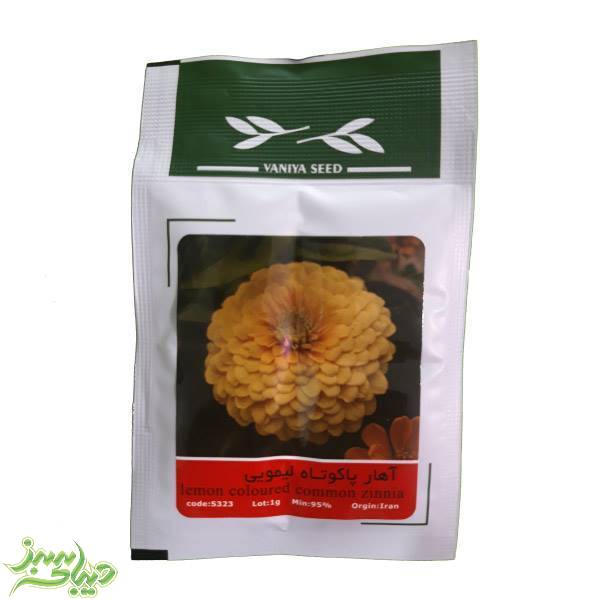 تصویر  بذر آهار پاکوتاه لیمویی