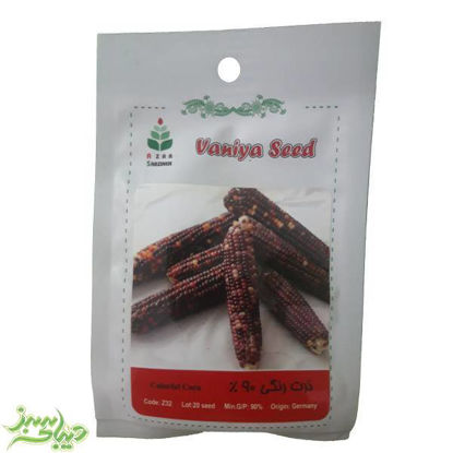 تصویر  بذر ذرت رنگی 90%