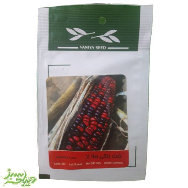 تصویر  بذر ذرت رنگی 95%