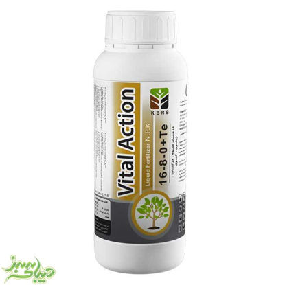تصویر  ویتال اکشن Vital Action (آهن+روی+منگنز+بر+NP)