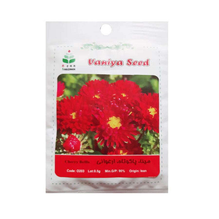 تصویر  بذر مینا ، پاکوتاه ، ارغوانی