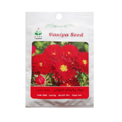 تصویر  بذر مینا ، پاکوتاه ، ارغوانی