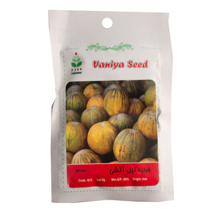 تصویر  بذر خربزه تیل آتشی