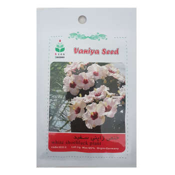 تصویر  بذر ختمی ژاپنی سفید