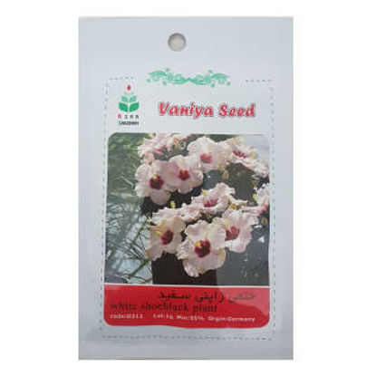 تصویر  بذر ختمی ژاپنی سفید