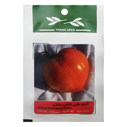 تصویر  بذر گوجه قلبی نارنجی درختی