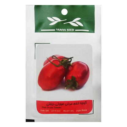 تصویر  بذر گوجه تخم مرغی صورتی درختی