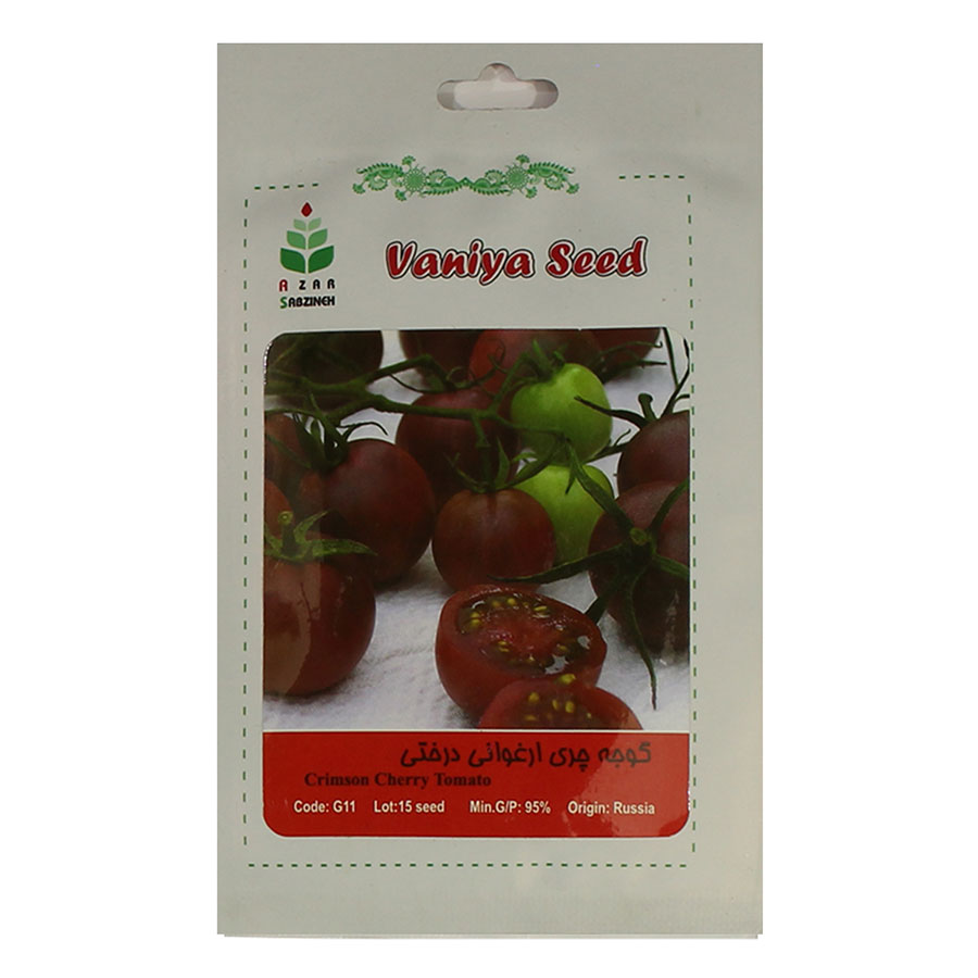 تصویر  بذر گوجه چری ارغوانی درختی