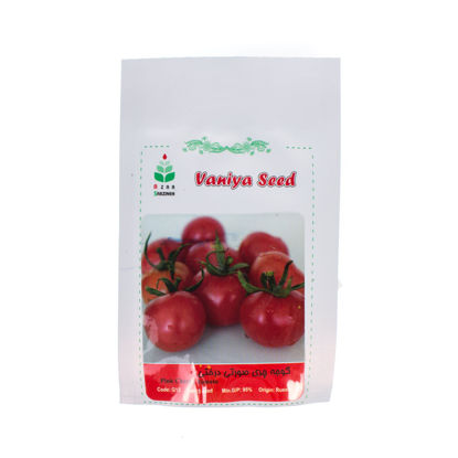 تصویر  بذر گوجه چری صورتی درختی